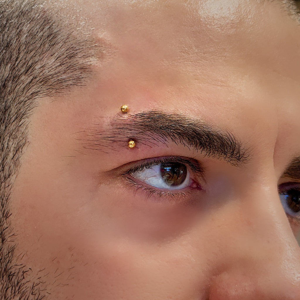 Titanium 16G (1.2MM) Internally Threaded Rook Eyebrow Piercing
