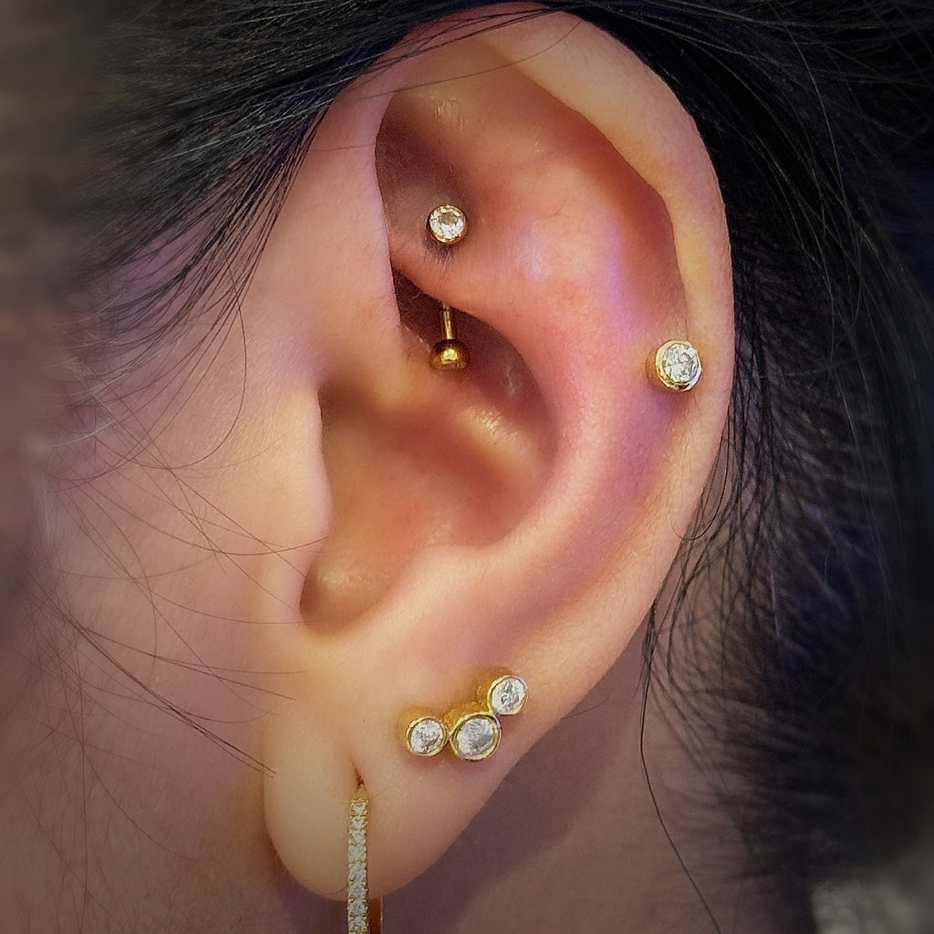 Titanium 16G (1.2MM) Internally Threaded Rook Eyebrow Piercing
