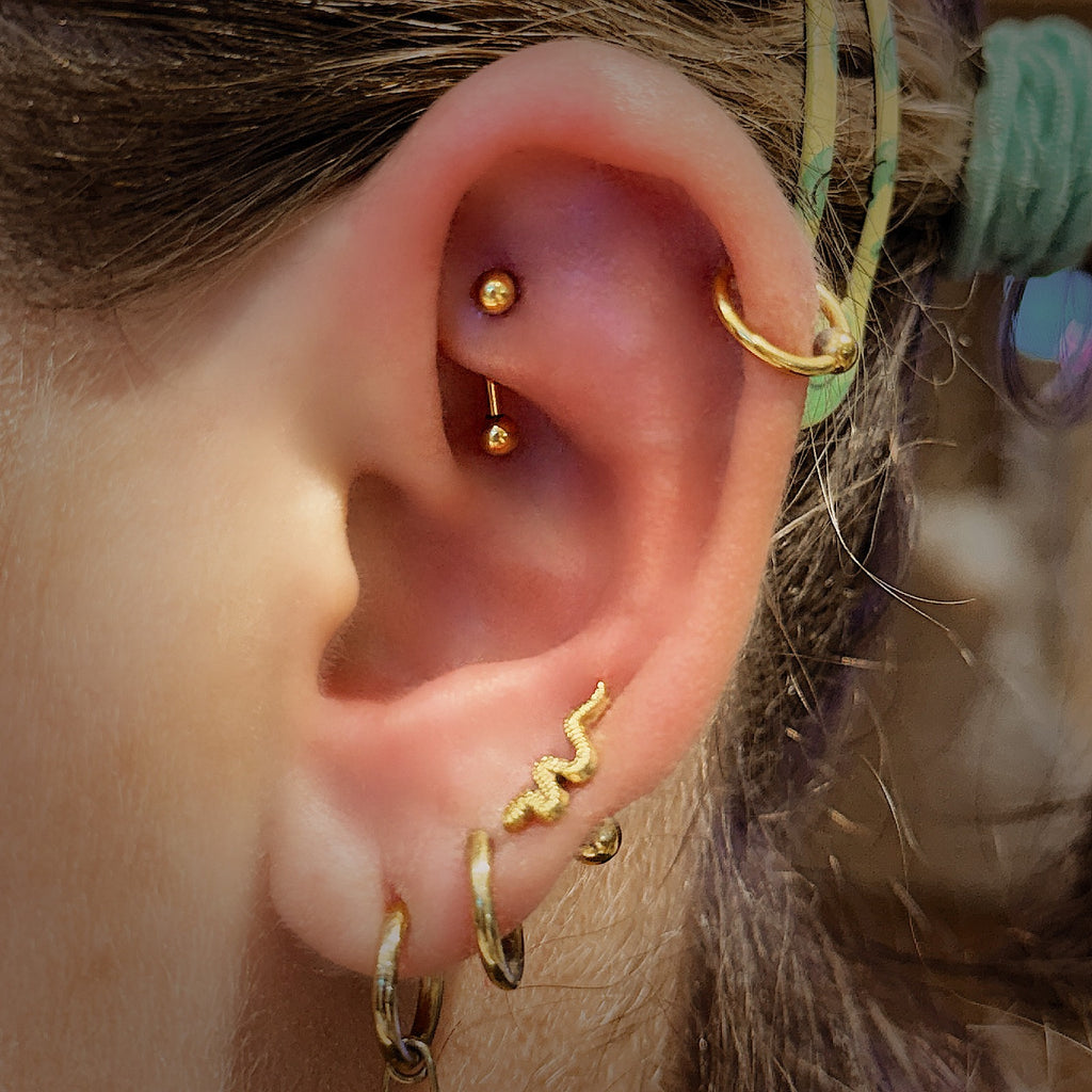 Titanium 16G (1.2MM) Internally Threaded Rook Eyebrow Piercing