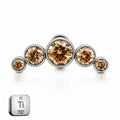 Titanium Champagne Crystal Arc Stud