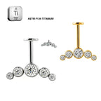 Vertical Helix &amp; Traditional Maharashtrian Bugadi Piercing — 5 CZ Cluster