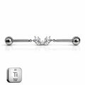 Industrial Leaf Barbell – Titanium