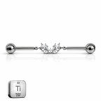 Industrial Leaf Barbell – Titanium