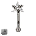 Natural Titanium 16G (1.2MM) Internally Threaded Flower Petal Rook Eyebrow Piercing