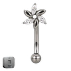 Natural Titanium 16G (1.2MM) Internally Threaded Flower Petal Rook Eyebrow Piercing
