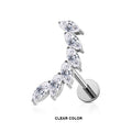Titanium Internally Threaded Curved Stud