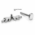 Titanium Crystal Laurel Fan Stud