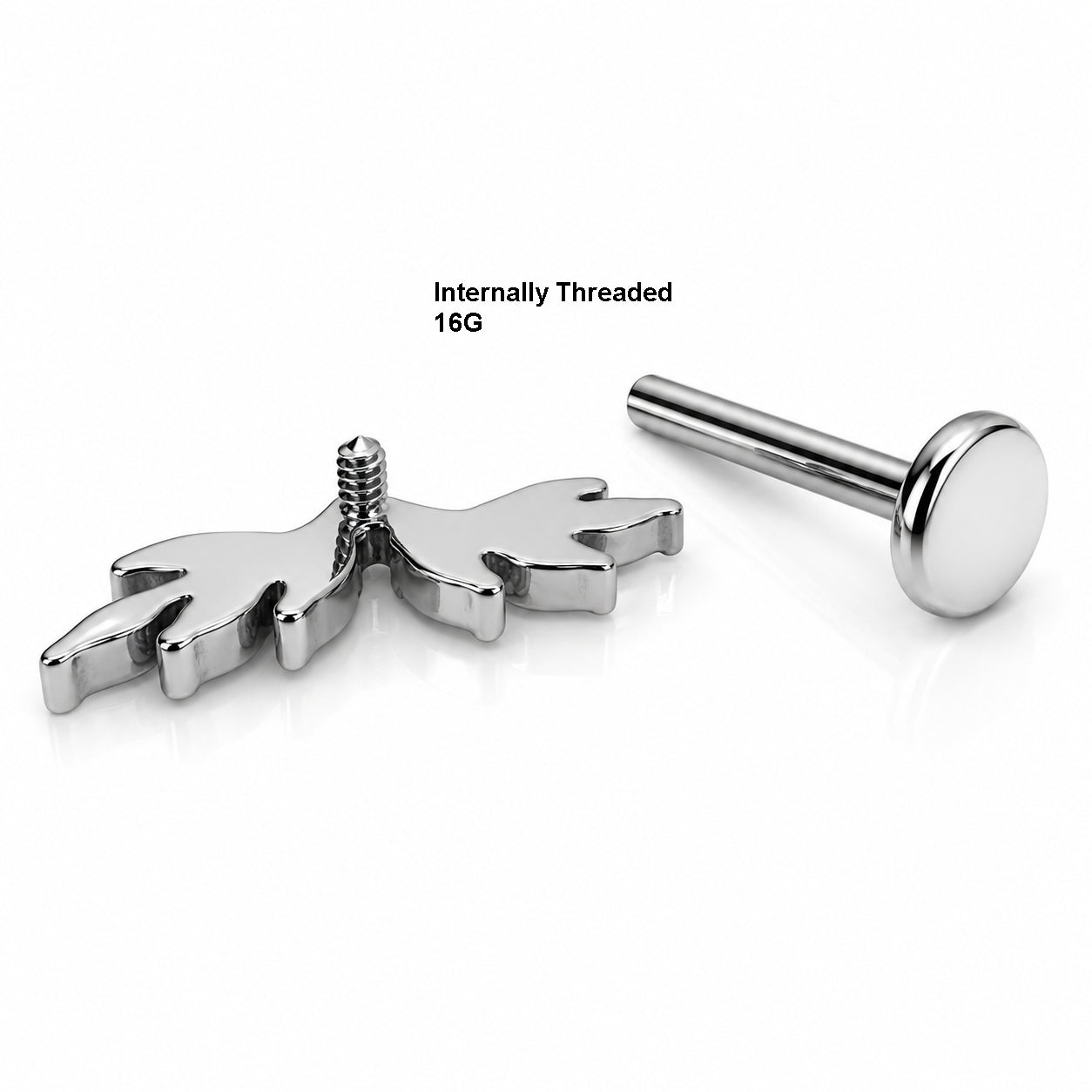Titanium Crystal Laurel Fan Stud