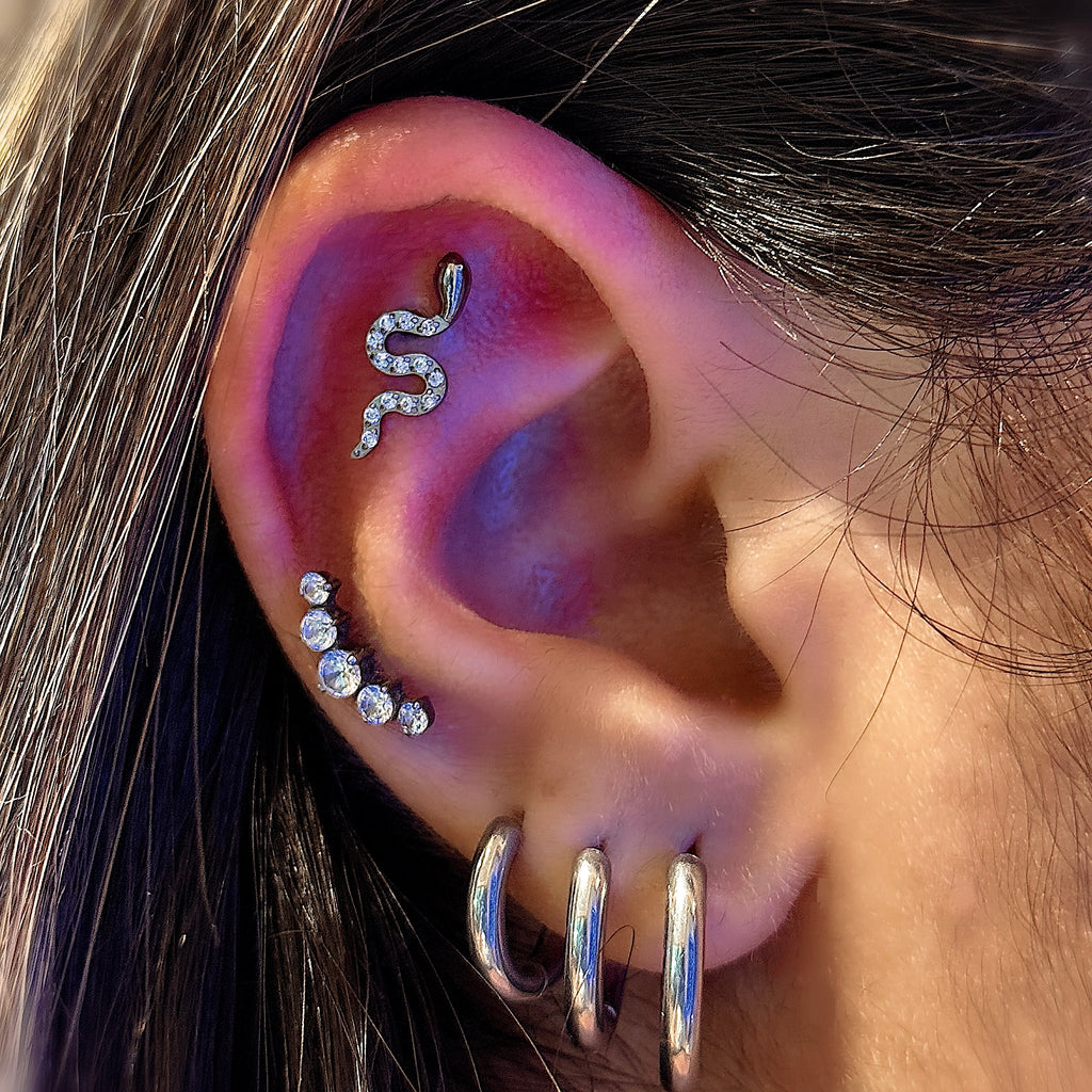 Titanium Snake Flat Back Stud – Internally Threaded