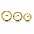 Titanium Hinged Segment Hoop Ring