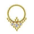 Titanium Queen Crystal Daith &amp; Septum Piercing Hoop 16G 10MM