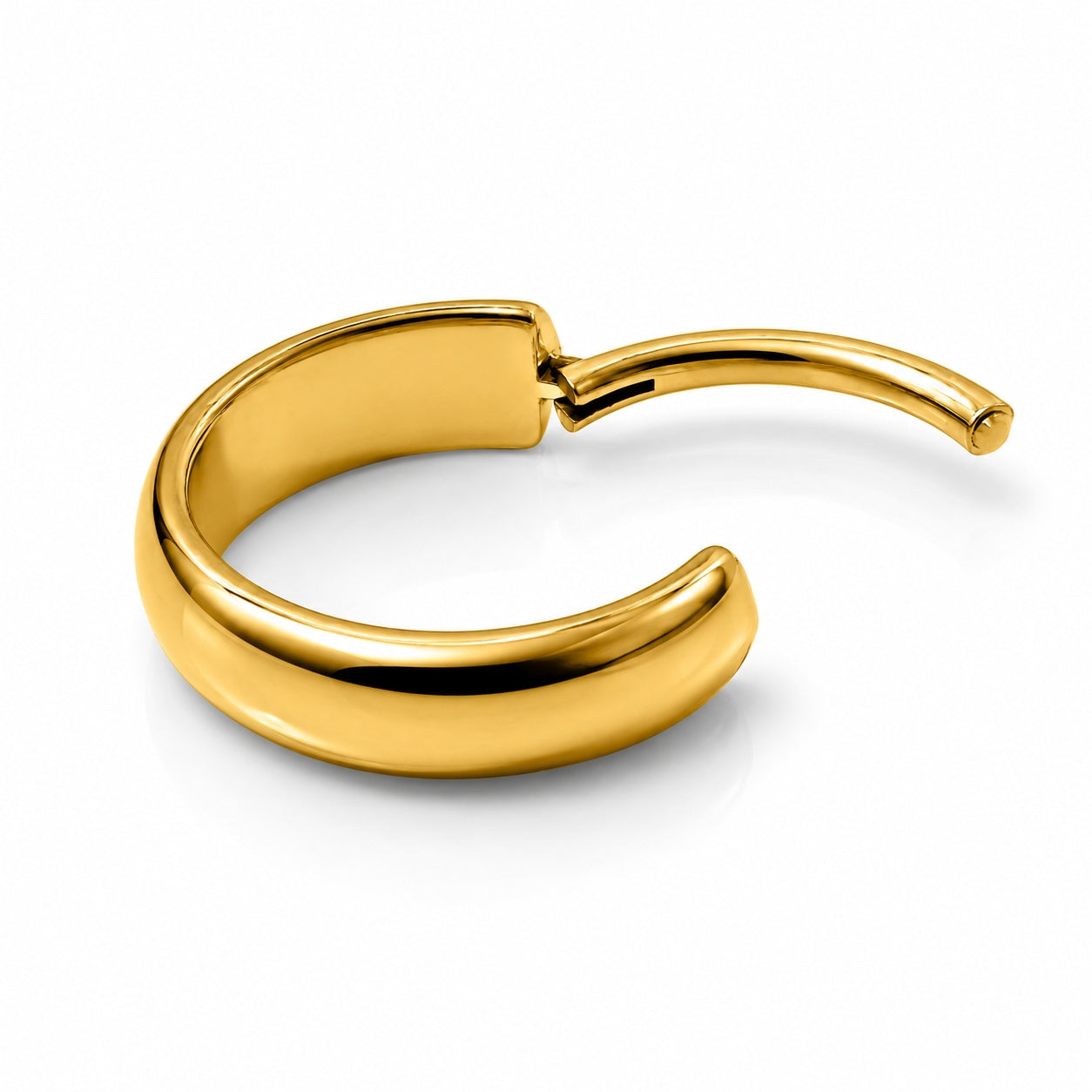 Titanium Hinged Segment Hoop Ring