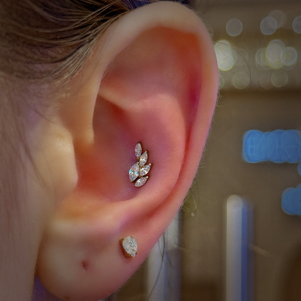 Titanium Lotus Shape 16G (1.2MM) Internally Threaded Labret Stud