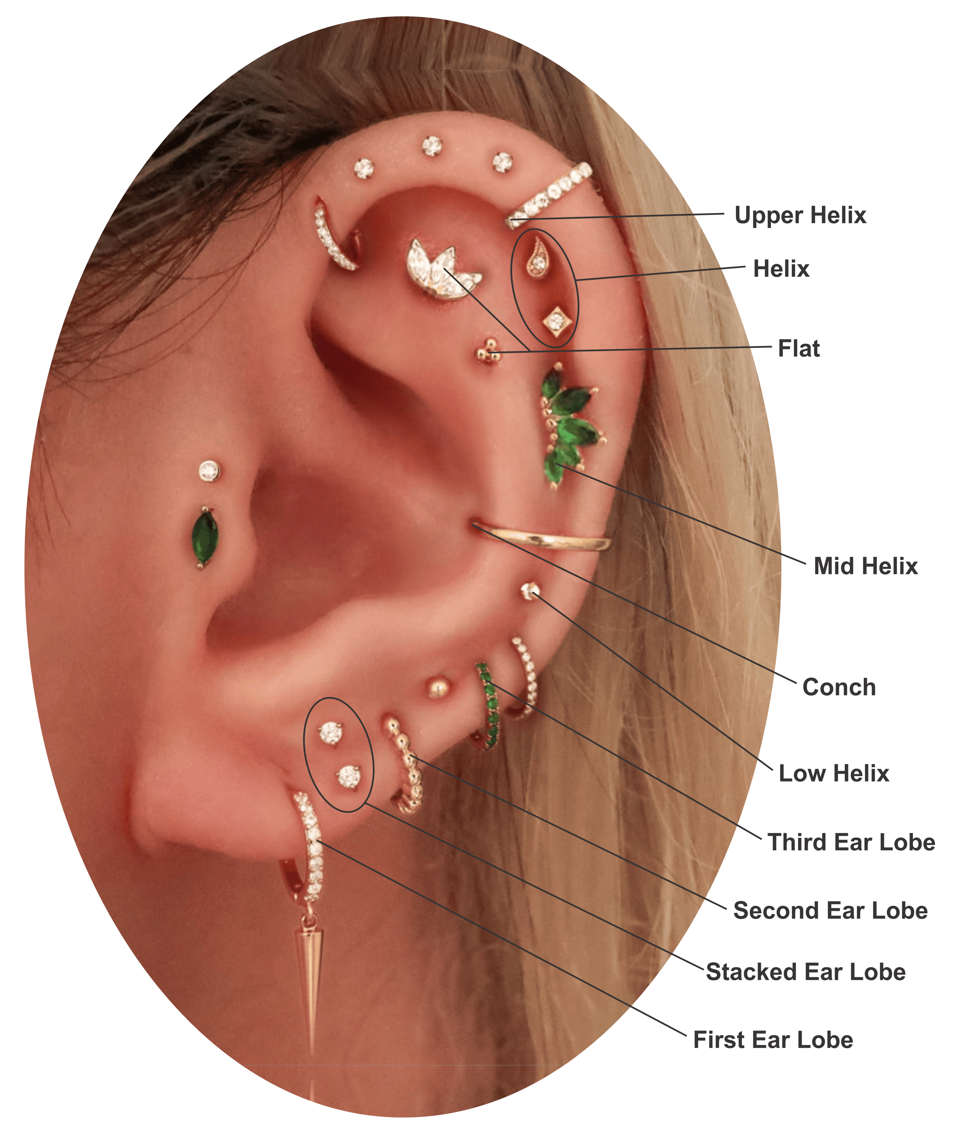 Ear Piercing Chart 1