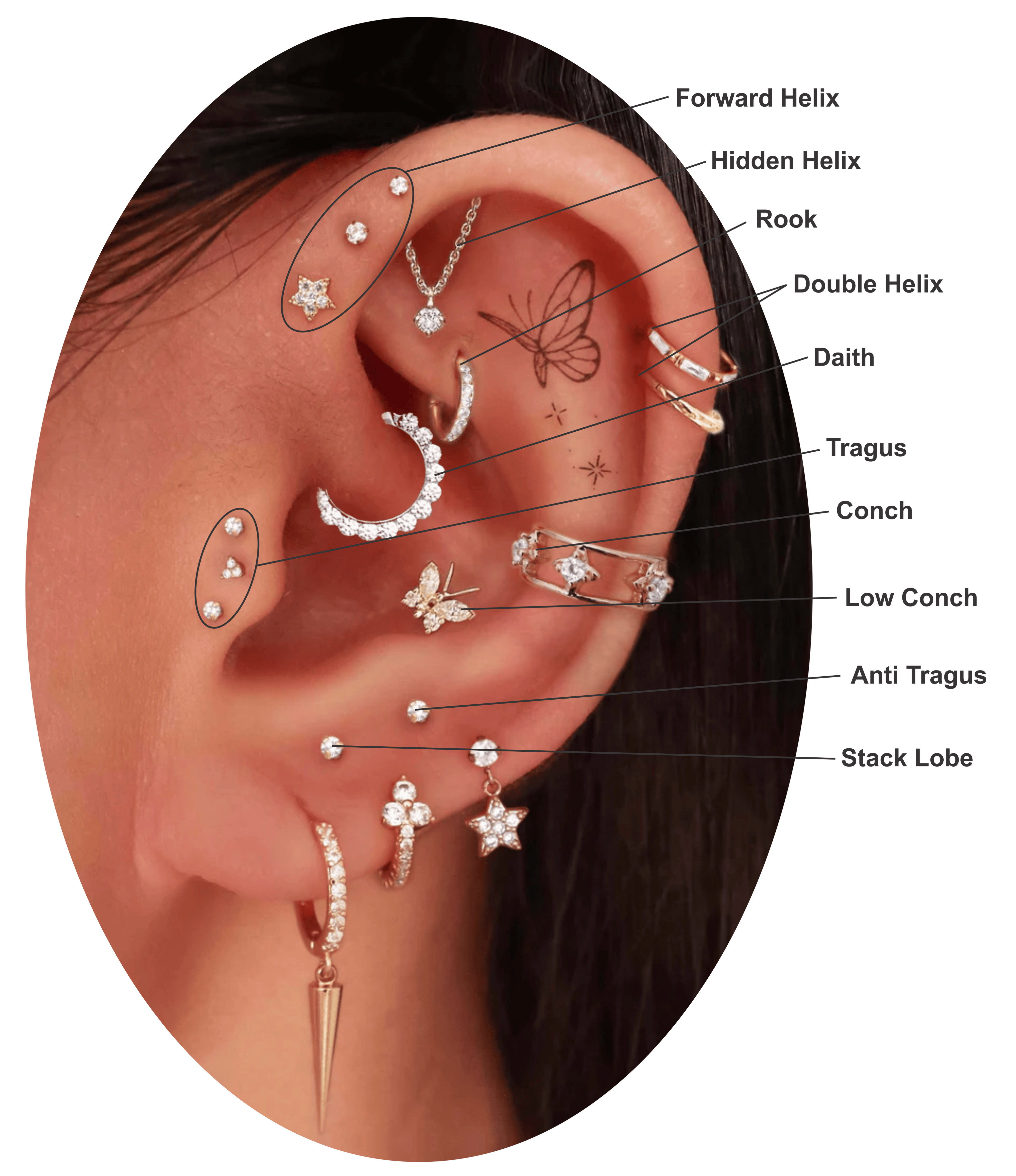 Ear Piercing Chart 2