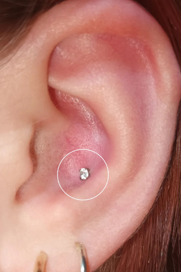 Low Conch Piercing Aftercare