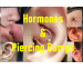 How Hormones Cause Piercing Bumps — Th...