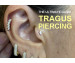 The Ultimate Guide to Tragus Piercing: W...