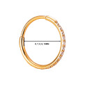 Elegant Dual-Gauge Hinged Hoop