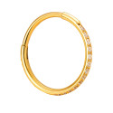 Elegant Dual-Gauge Hinged Hoop