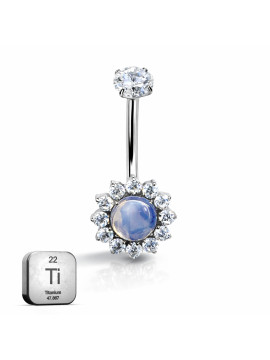 Titanium Belly Ring ...