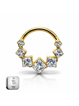 Titanium Hinged Hoop...