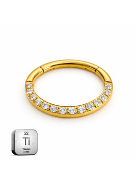 Titanium Oval Hinged...