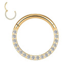 Titanium Front Crystal Daith & Septum Piercing Hoop 16G 8MM