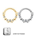 Titanium Daith & Septum Piercing Hoop 16G 8MM