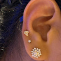 18K Solid Gold 18G Threadless Push Pin Flat Back Paw Stud