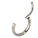 Classic Paved Hinged Lock Hoop – ASTM F136 Titanium (16G)