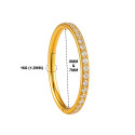 18K Gold Diamond-Studded Hoop (VS Diamonds) 