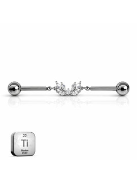 Industrial Leaf Barb...