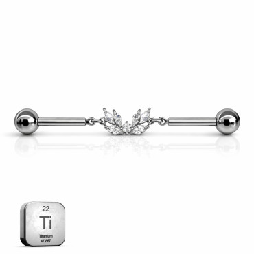 Industrial Leaf Barbell – Titanium