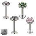 Natural Titanium 16G (1.2mm) Internally Threaded Flower Stud