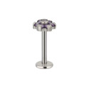 Natural Titanium 16G (1.2mm) Internally Threaded Flower Stud
