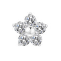 Titanium 16G (1.2mm) Internally Threaded Flower Prong Stud