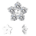 Titanium 16G (1.2mm) Internally Threaded Flower Prong Stud