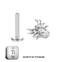 Titanium Internally Threaded Spider Stud