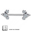 ASTM F136 Titanium Three Stone Studded Nipple Piercing Jewelry