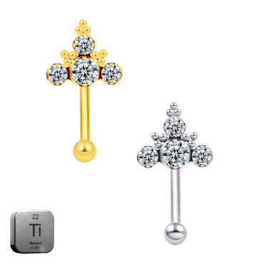 Titanium 16G (1.2MM) Internally Threaded 4CZ Rook Eyebrow Piercing
