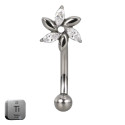 Natural Titanium 16G (1.2MM) Internally Threaded Flower Petal Rook Eyebrow Piercing