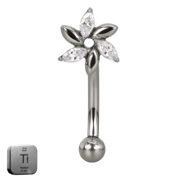 Natural Titanium 16G (1.2MM) Internally Threaded Flower Petal Rook Eyebrow Piercing