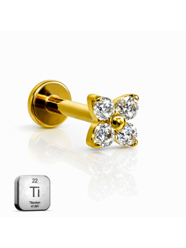 Implant-Grade Titani...