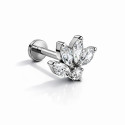 Titanium Marquise Cluster Flat Back Stud