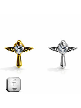 Titanium Angel Wing ...