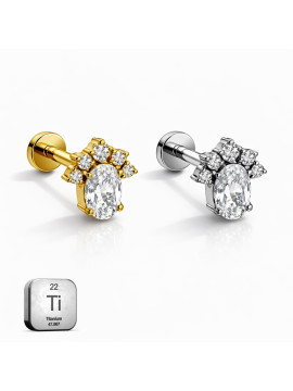 Titanium CZ Paw Flat...