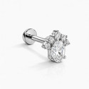 Titanium CZ Paw Flat Back Stud
