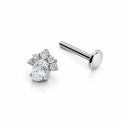 Titanium CZ Paw Flat Back Stud