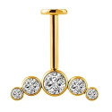 Vertical Helix & Traditional Maharashtrian Bugadi Piercing — 5 CZ Cluster